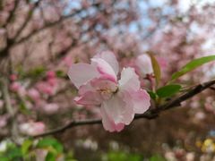 -云漫湖生态度假公园