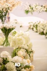 -明典婚礼策划·婚车租赁·婚纱摄影