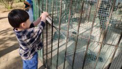 -萌宠亲子动物乐园(槐房万达店)