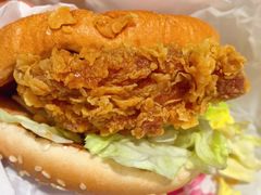 麦辣鸡腿堡套餐-麦当劳(东直门外大街店)