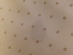 iphone_upload_pic-文星酒店(广州北京路步行街海珠广场地铁站店)