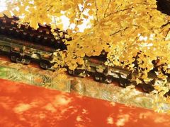 -李想大虾(江北天街店)