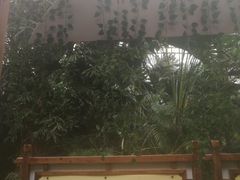 -龙达温泉生态城