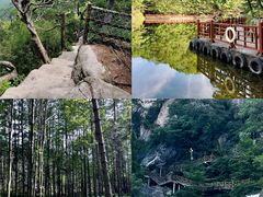 -洛阳白云山景区