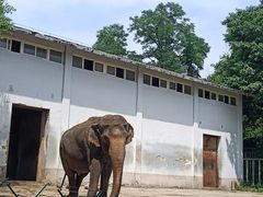 -合肥野生动物园