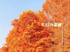 -尚贤河湿地