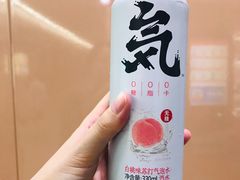 -桂林公园(地铁站)