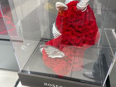 -ROSEONLY诺誓(广州K11店)
