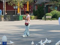 -天津妈祖文化园