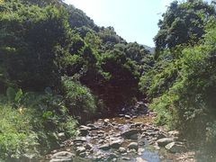 -梧桐山风景名胜区