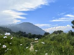 -妙峰山风景名胜区