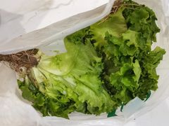 -菊园百果园