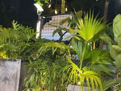 -木屋烧烤(坂田天安云谷店)