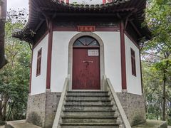 -上海佘山国家森林公园天马山园