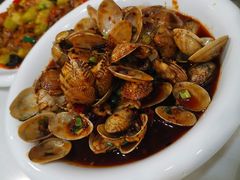 -辣四方新派川菜