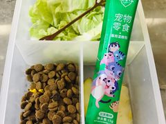 -浣熊柯尔鸭土拨鼠·电玩咖