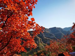 -周口店坡峰岭风景区
