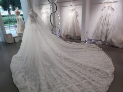 -艾米丽婚纱礼服