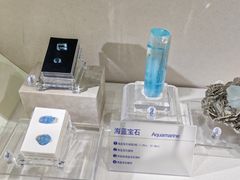 -安徽省地质博物馆