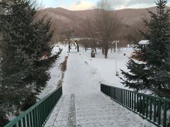 -横道河子东北虎林园