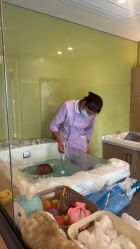 -大美母婴月子中心(馨乐庭店)