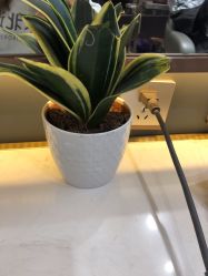 -木北造型