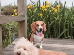 -白鹭湾湿地公园