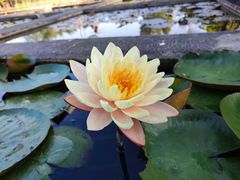 -华南国家植物园-售票处