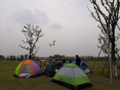 -春花秋色城市公园