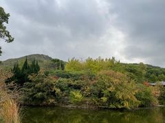 -白马涧龙池景区