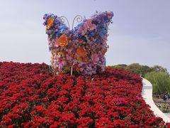 -上海鲜花港