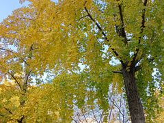 -利顺德大饭店·维多利亚花园(小白楼店)