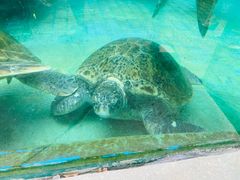 -海合安成都极地海洋公园