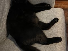 -BETTER CAFE(鄞州店)