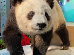 -陕西自然博物馆