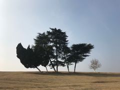 -钟山体育运动公园