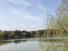 -苏州太湖国家湿地公园