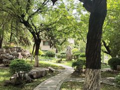 -舜耕山庄四时万和自助餐厅