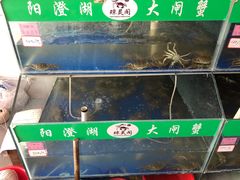 -阳澄湖大闸蟹·琼灵阁牌品牌连锁(吴中总店)