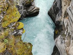 -阿萨巴斯卡瀑布观景点