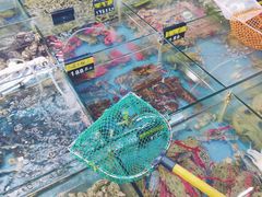 -明记海鲜大排档(巽寮湾店)