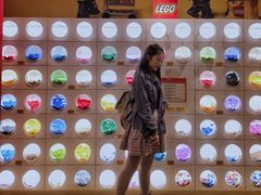 -台场海滨公园船码头