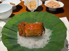 -觀芷隐轩