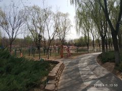 -大兴滨河森林公园