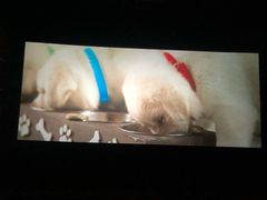 -金逸影城(光美嘉瑞宝MX4D店)