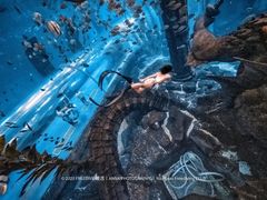 -哈尔滨波塞冬海底世界