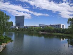 -大兴滨河森林公园