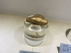 -河南自然博物馆