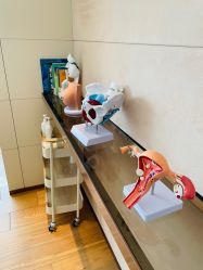 -baby bella小贝拉母婴护理中心(北京东隅店)