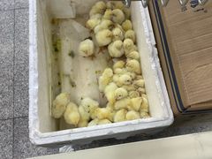 -物美综合超市(旧宫店)